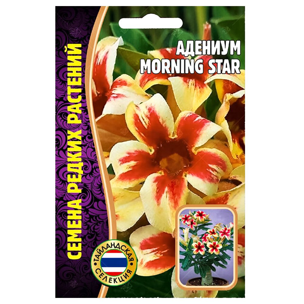 Адениум Morning Star Редкие семена № 1