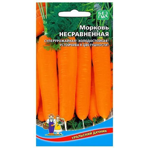 Морковь Несравненная Уральский дачник № 1