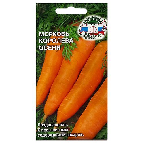 Морковь Королева осени Седек № 1