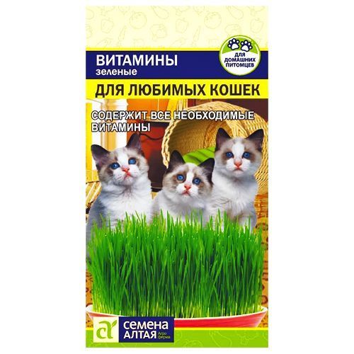 Зеленые витамины для любимых кошек Семена Алтая