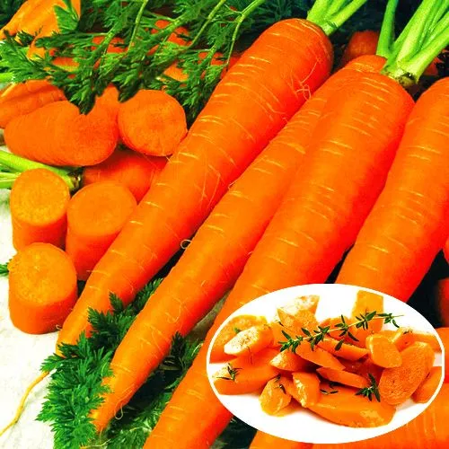 Морковь Детский вкус Седек № 3