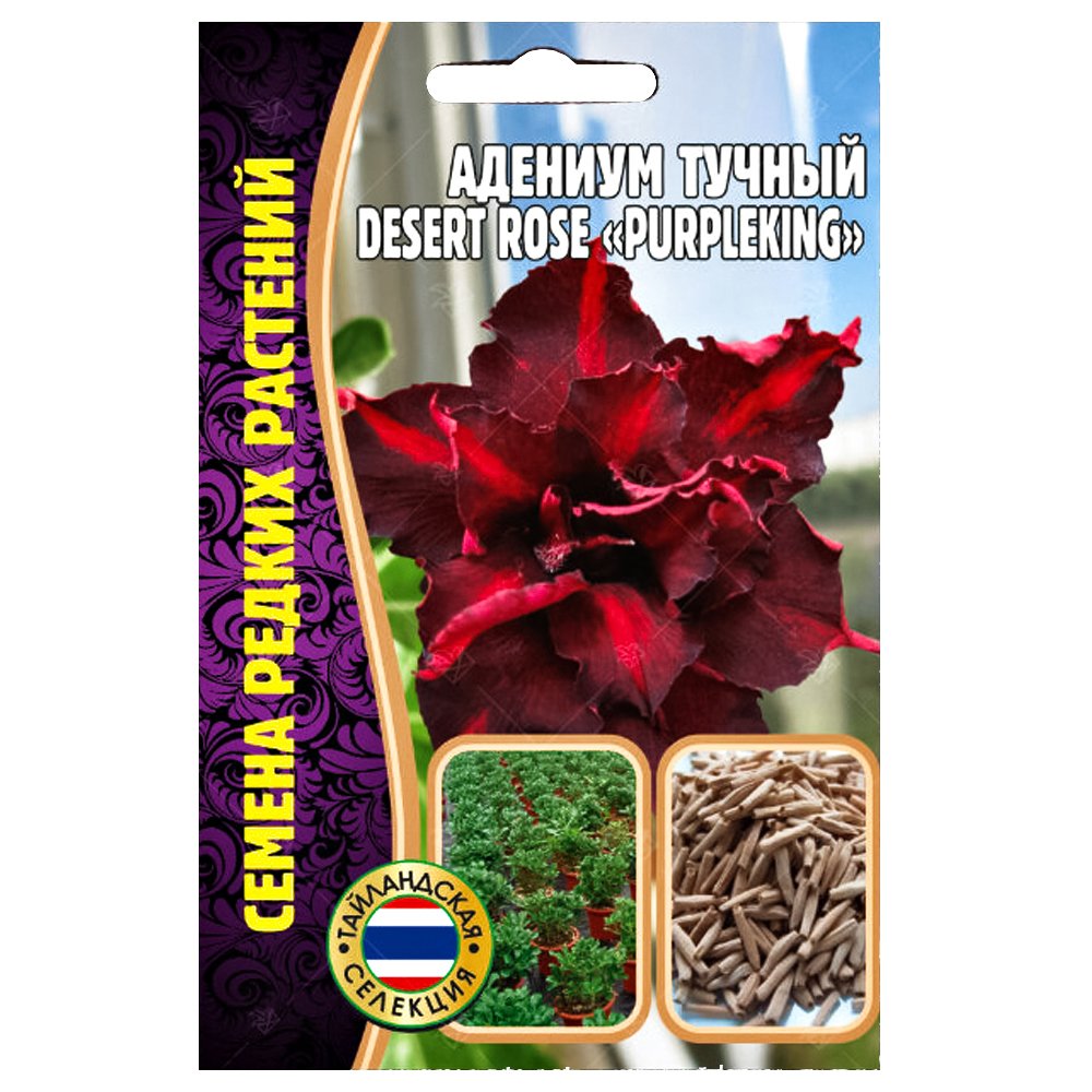 Адениум Desert Rose Purple King Редкие семена № 1