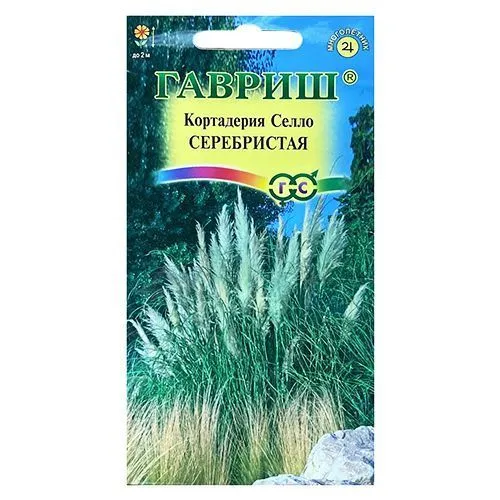 Кортадерия (пампасная трава) Серебристая Гавриш № 1